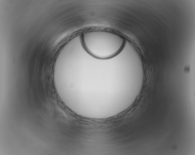 X0000113151064200910161215