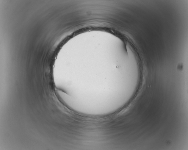 X0000113151065200910161215