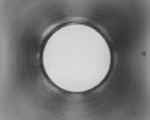 X0000113151066200910161215