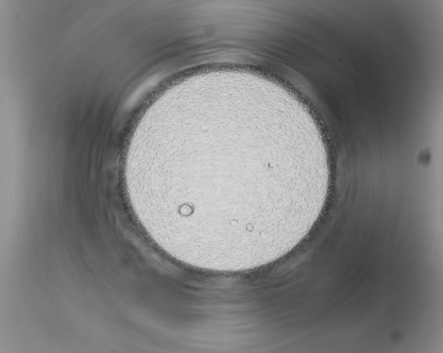 X0000113151067200910161215