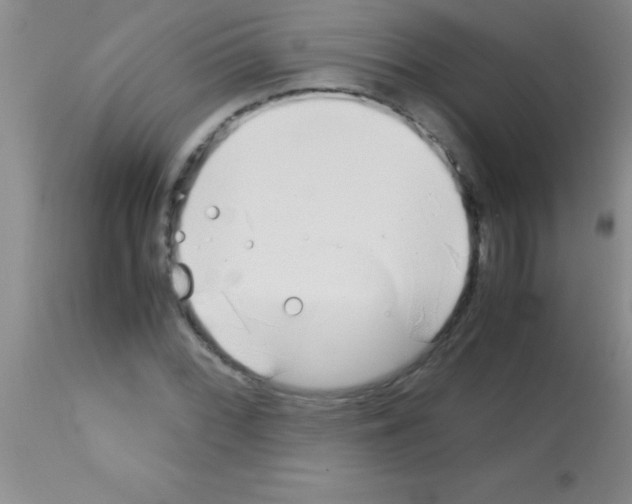 X0000113151068200910161215