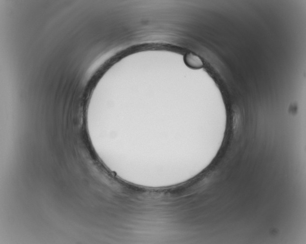 X0000113151069200910161215