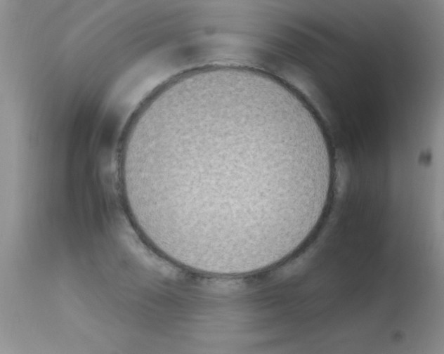 X0000113151074200910161215