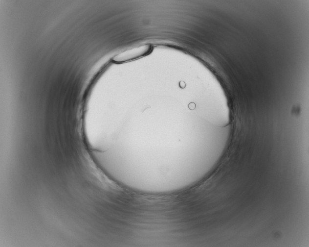 X0000113151076200910161215