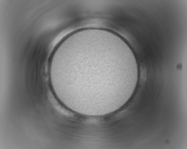 X0000113151078200910161215