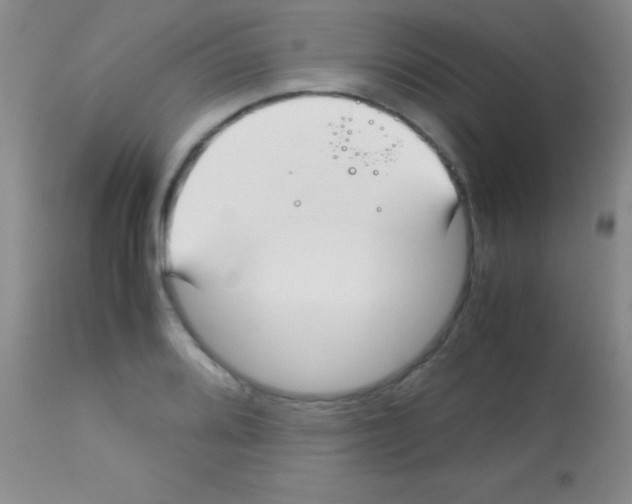 X0000113151080200910161214