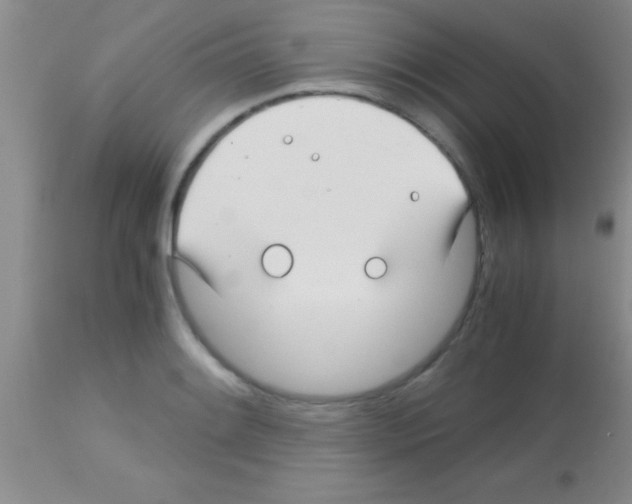 X0000113151084200910161214