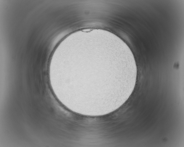 X0000113151087200910161214