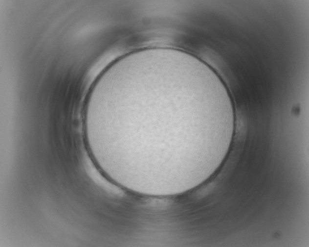 X0000113151090200910161214