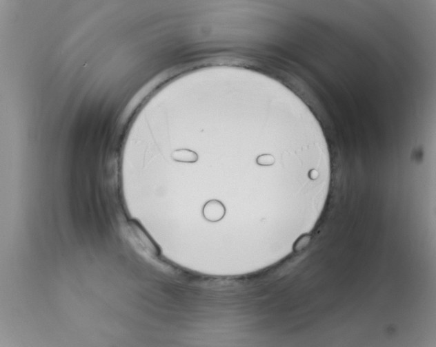 X0000113151092200910161214