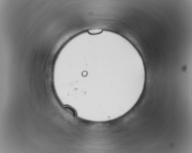 X0000113151093200910161214