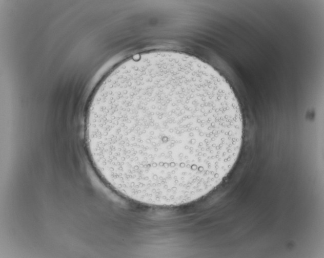 X0000113151095200910161214