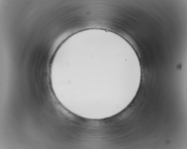 X0000113151096200910161214