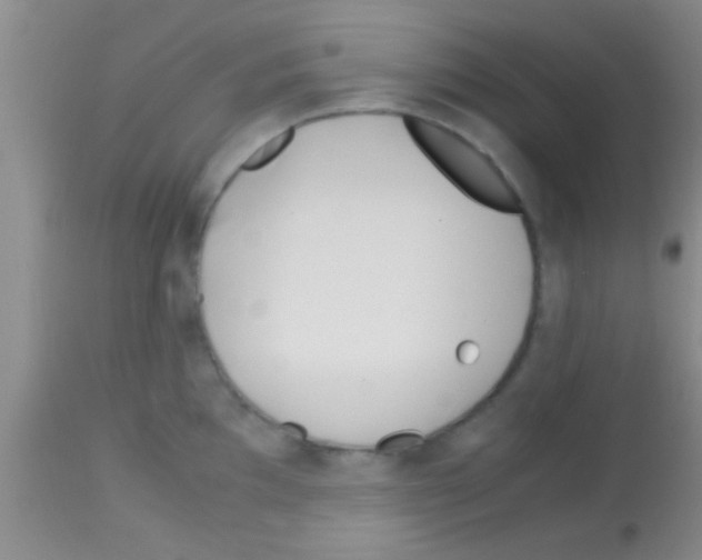 X0000113151097200910161214