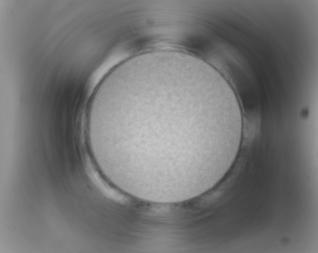 X0000113151098200910161214