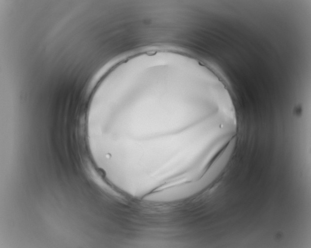 X0000113151100200910161214