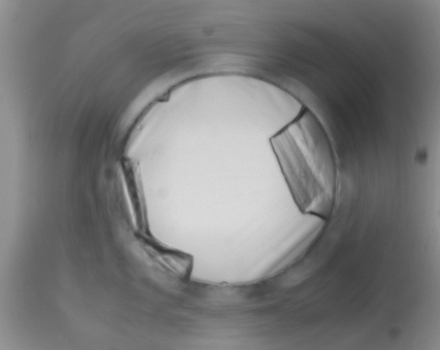 X0000113151101200910161214