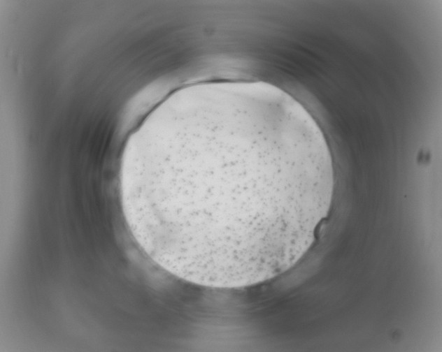 X0000113151104200910161214