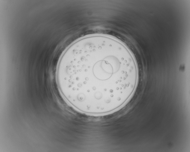 X0000113151106200910161213