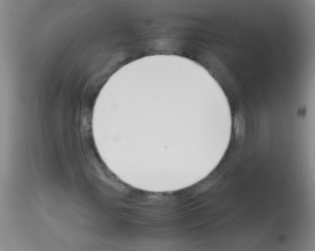 X0000113151107200910161213