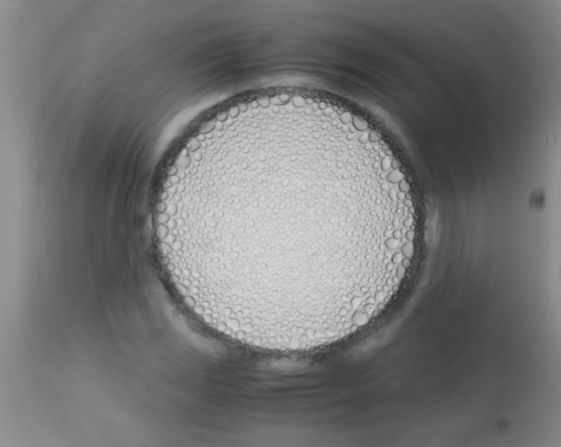 X0000113151117200910161213