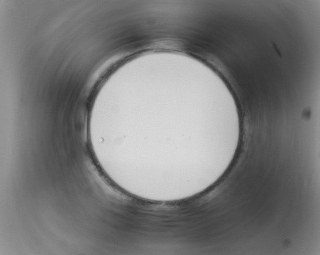 X0000113151123200910161213