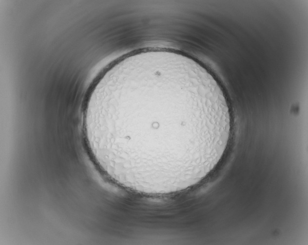 X0000113151125200910161213