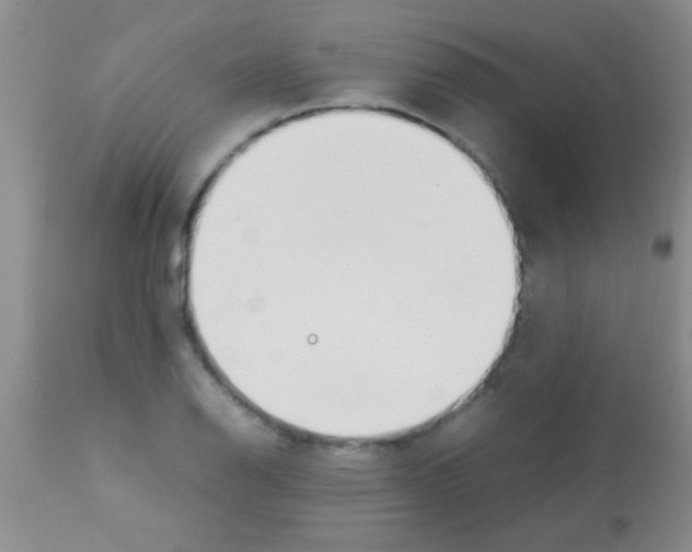 X0000113151126200910161213