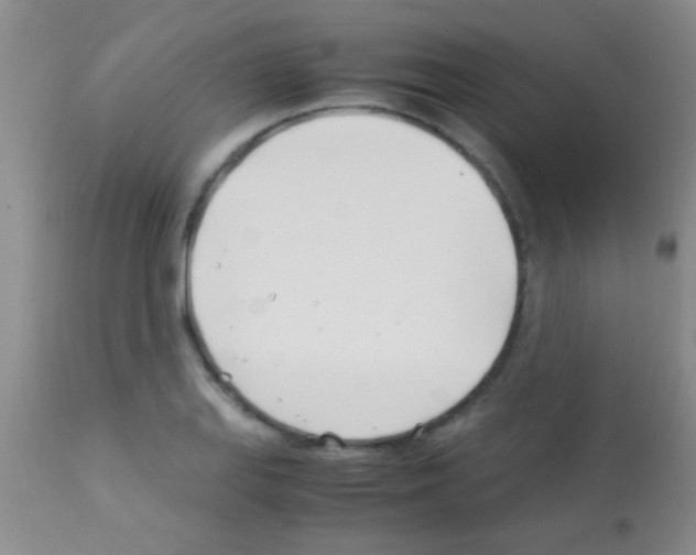 X0000113151127200910161213