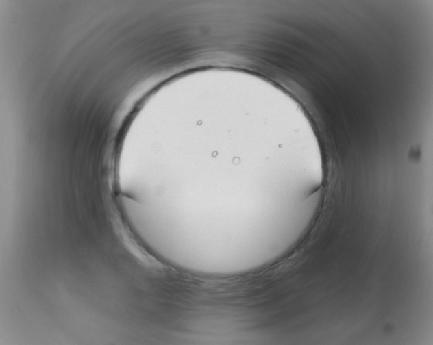 X0000113151128200910161214