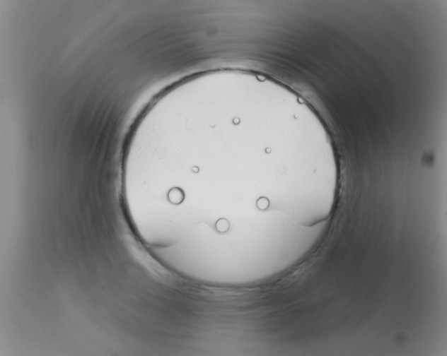 X0000113151132200910161214