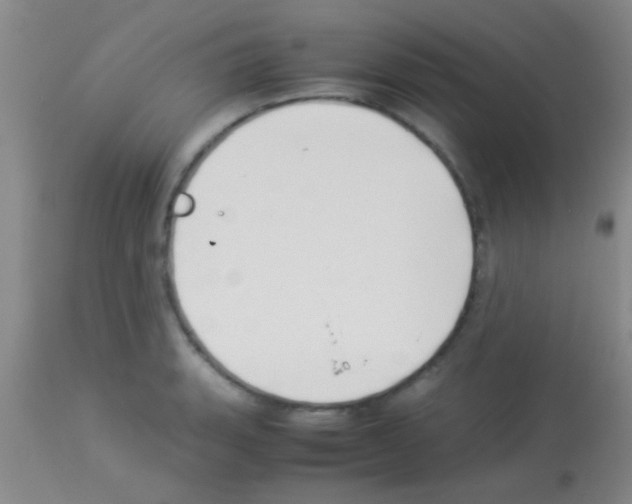 X0000113151135200910161214