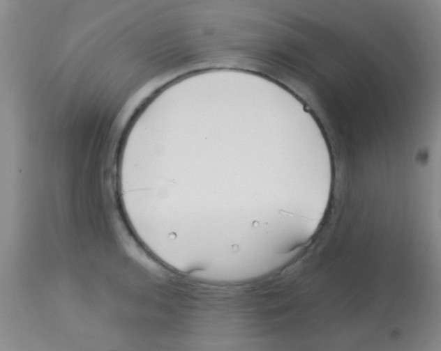 X0000113151136200910161214