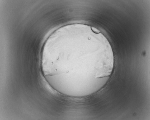 X0000113151140200910161214