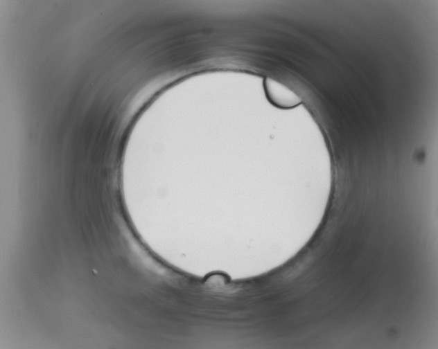 X0000113151141200910161214