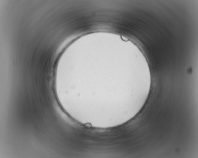 X0000113151147200910161214