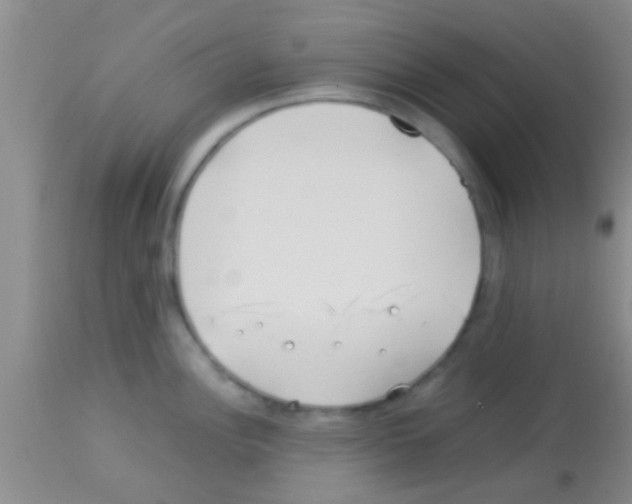 X0000113151148200910161214