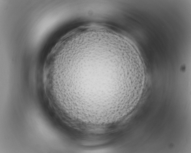 X0000113151150200910161214