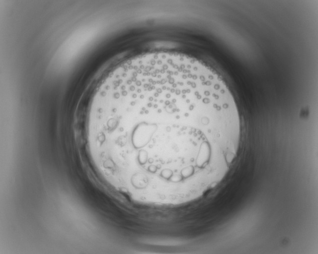 X0000113151151200910161214