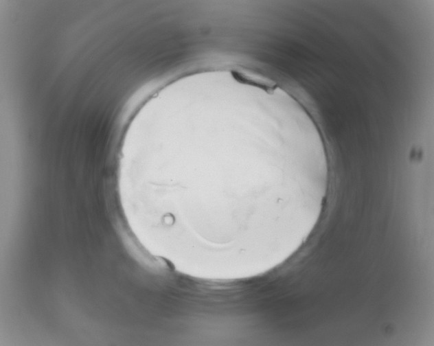 X0000113151152200910161214