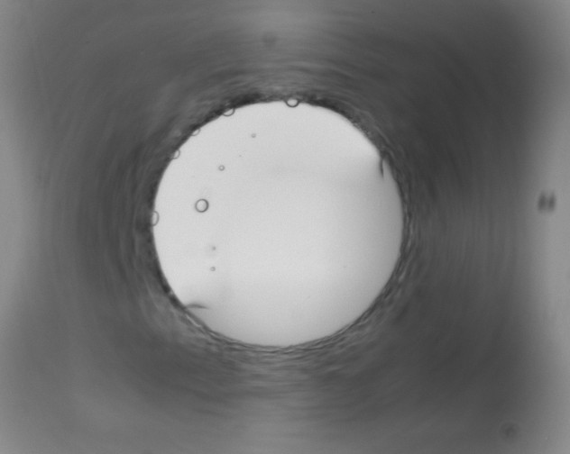 X0000113151153200910161213