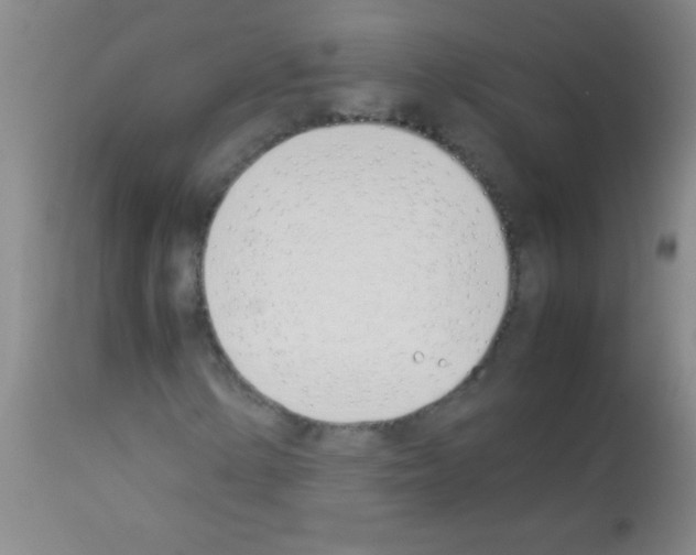 X0000113151154200910161213