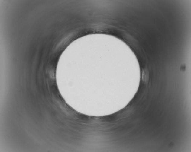 X0000113151155200910161213