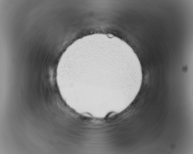 X0000113151156200910161213