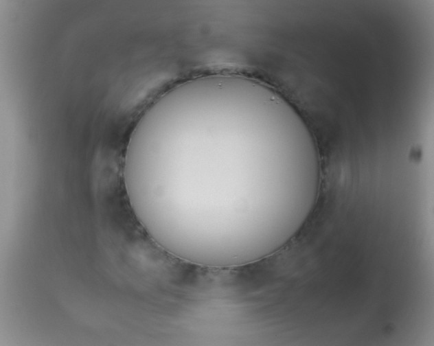 X0000113151157200910161213