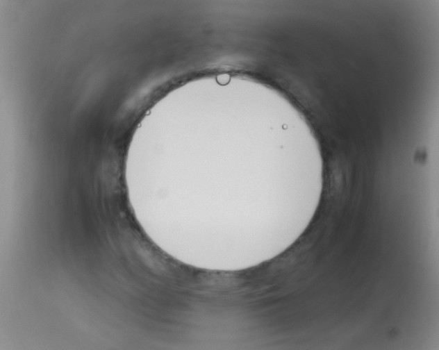 X0000113151158200910161213