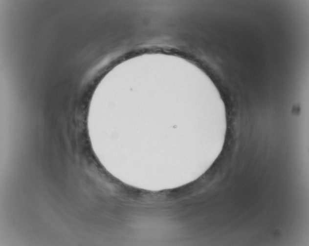 X0000113151159200910161213