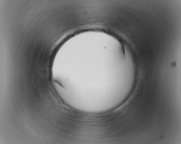 X0000113151162200910161213