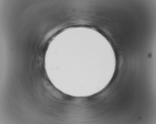 X0000113151163200910161213