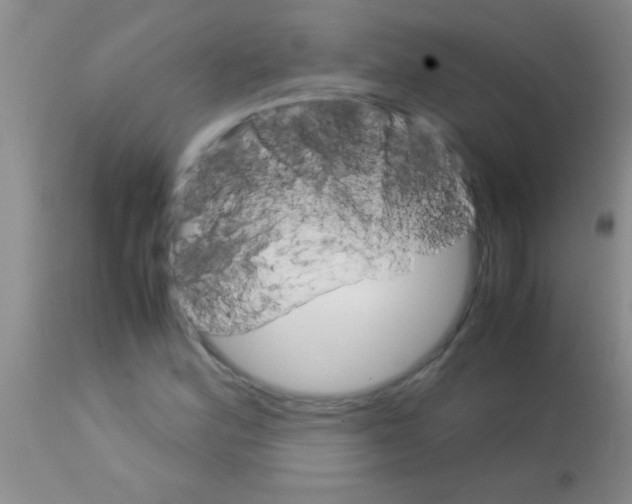 X0000113151164200910161213